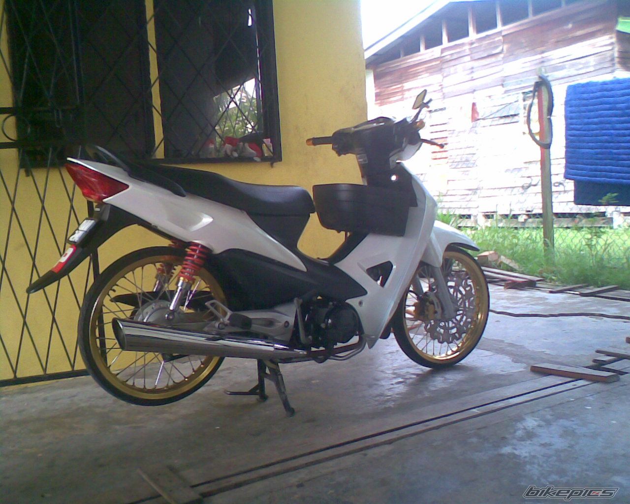 2008 HONDA WAVE 100 | Picture 1702079 motorcycle photo