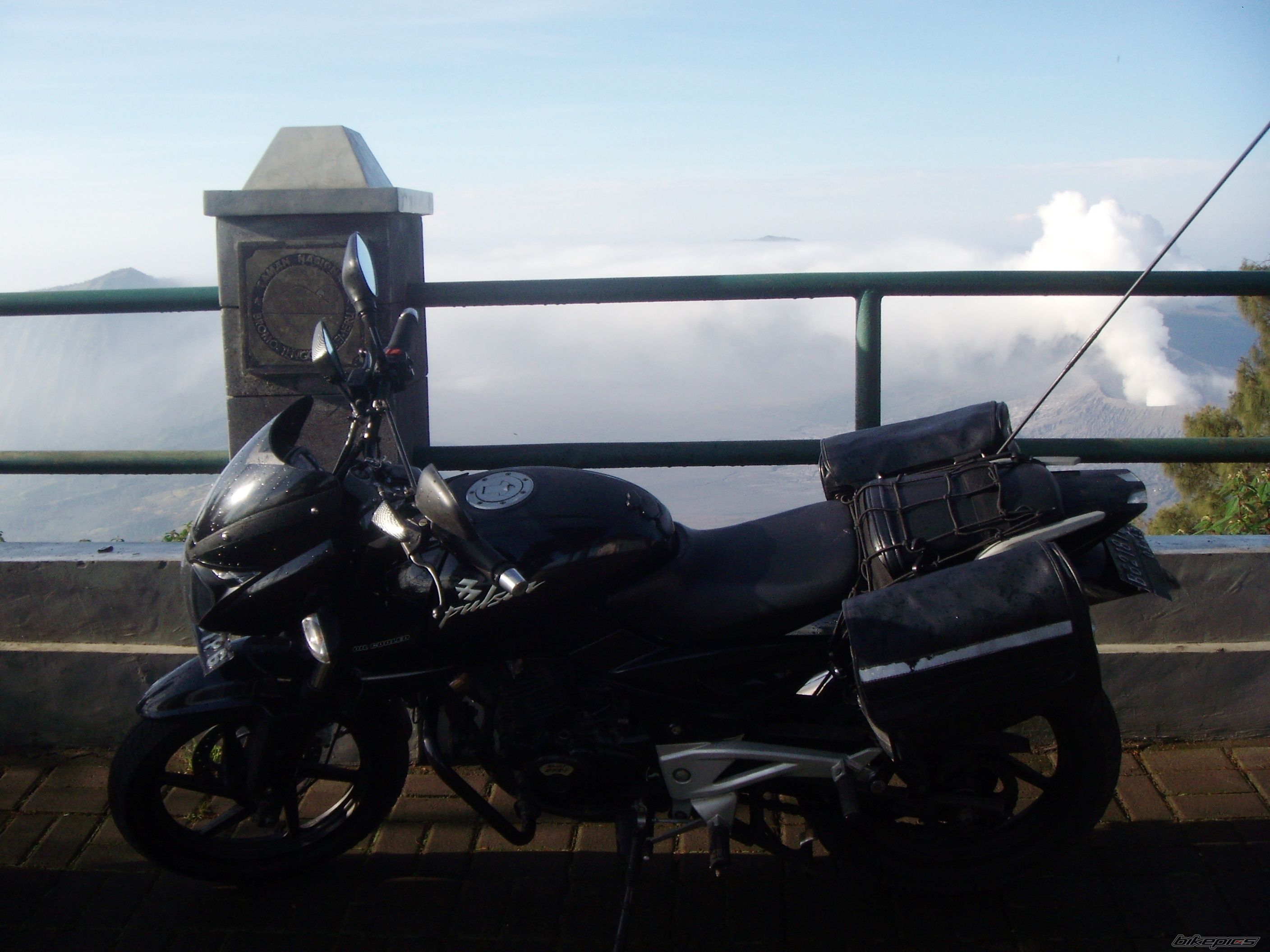 2008 BAJAJ PULSAR 180 | Picture 1702180 motorcycle photo