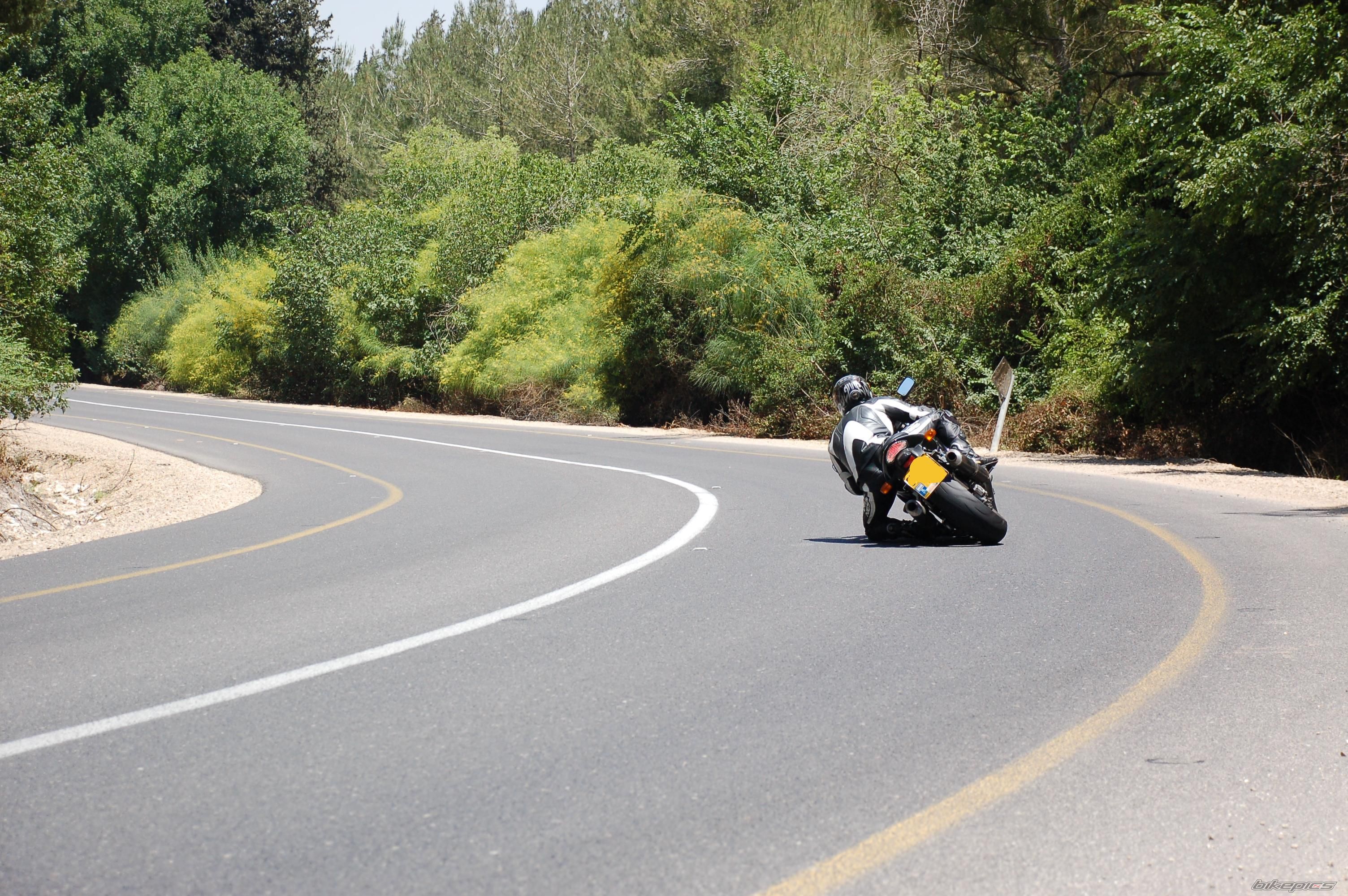 1997 SUZUKI TL1000S | Picture 1702334 motorcycle photo