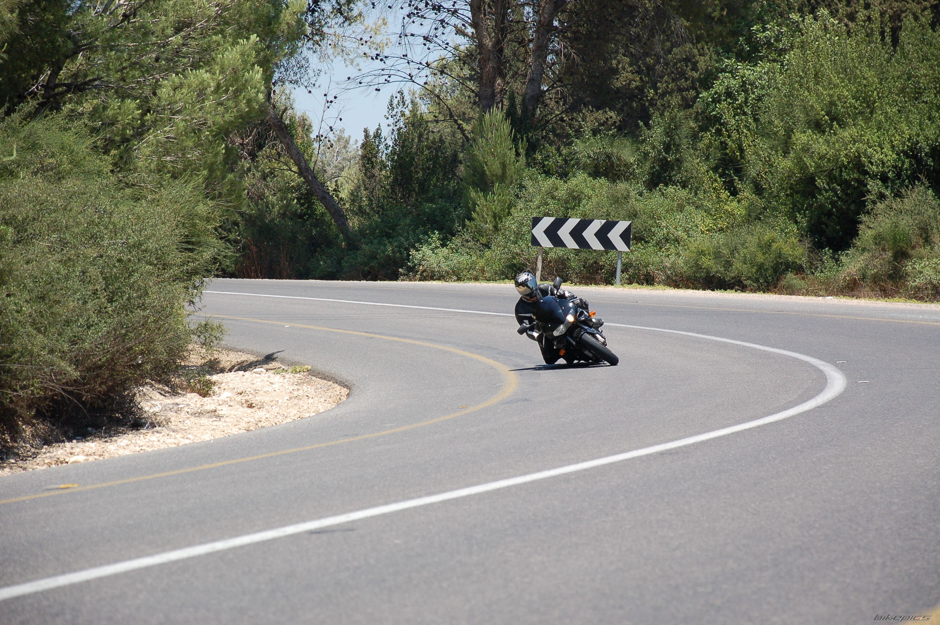 1997 SUZUKI TL1000S | Picture 1702337 motorcycle photo