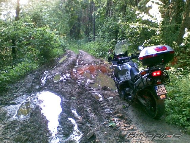 2006 HONDA XL 1000V VARADERO | Picture 1702459 motorcycle photo