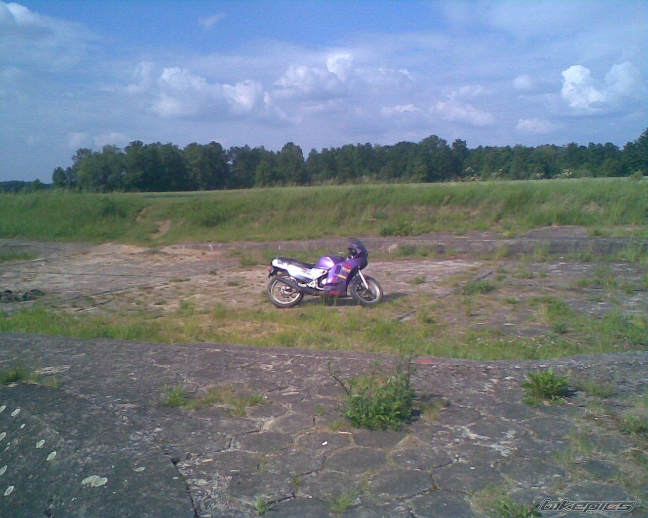 1994 SUZUKI RG 80 | Picture 1702464 motorcycle photo