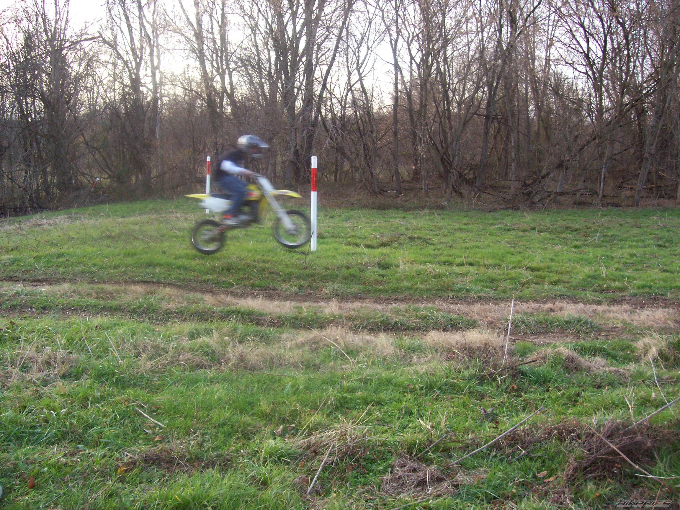 2003 SUZUKI RM 85 | Picture 1702741 motorcycle photo