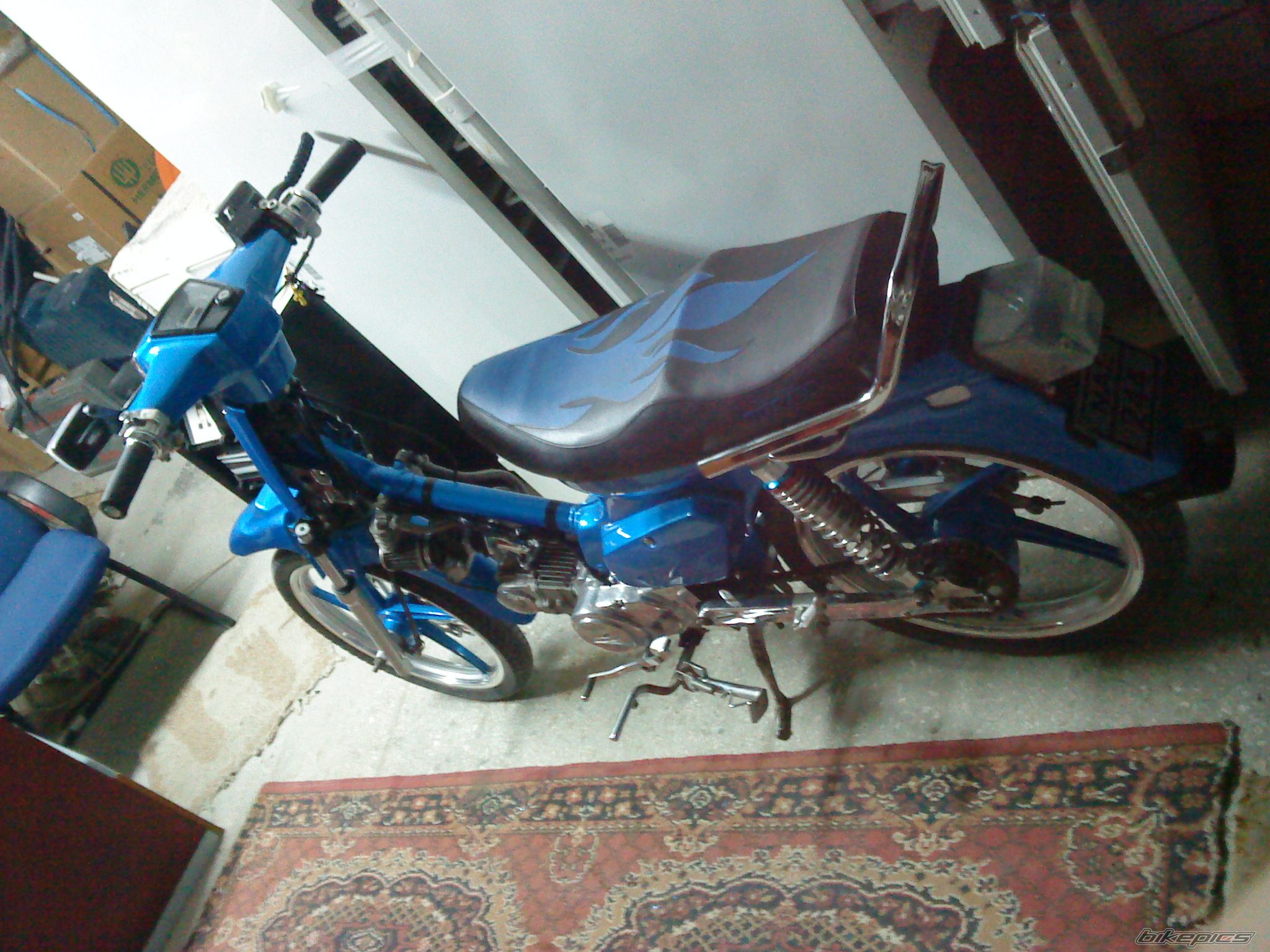 2010 HONDA GLX 50 | Picture 1704150 motorcycle photo