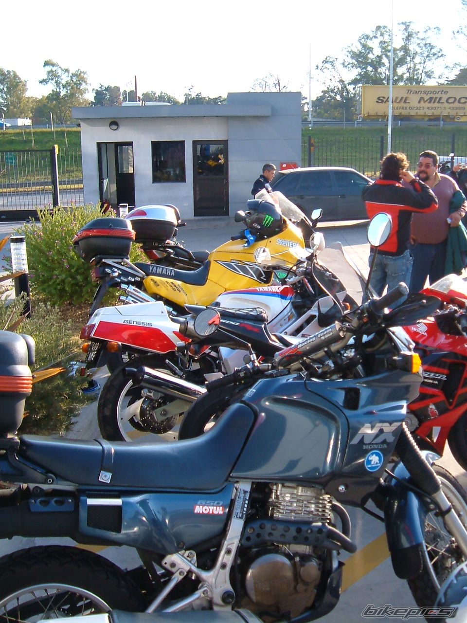 1989 HONDA NX 650 DOMINATOR | Picture 1704679 motorcycle photo