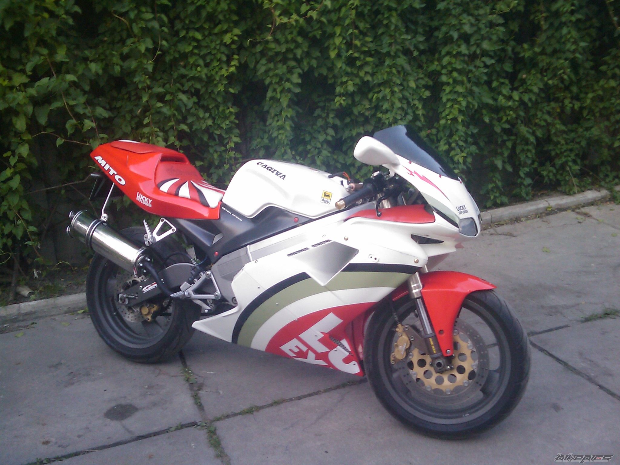 1996 CAGIVA MITO 125 | Picture 1704755 motorcycle photo
