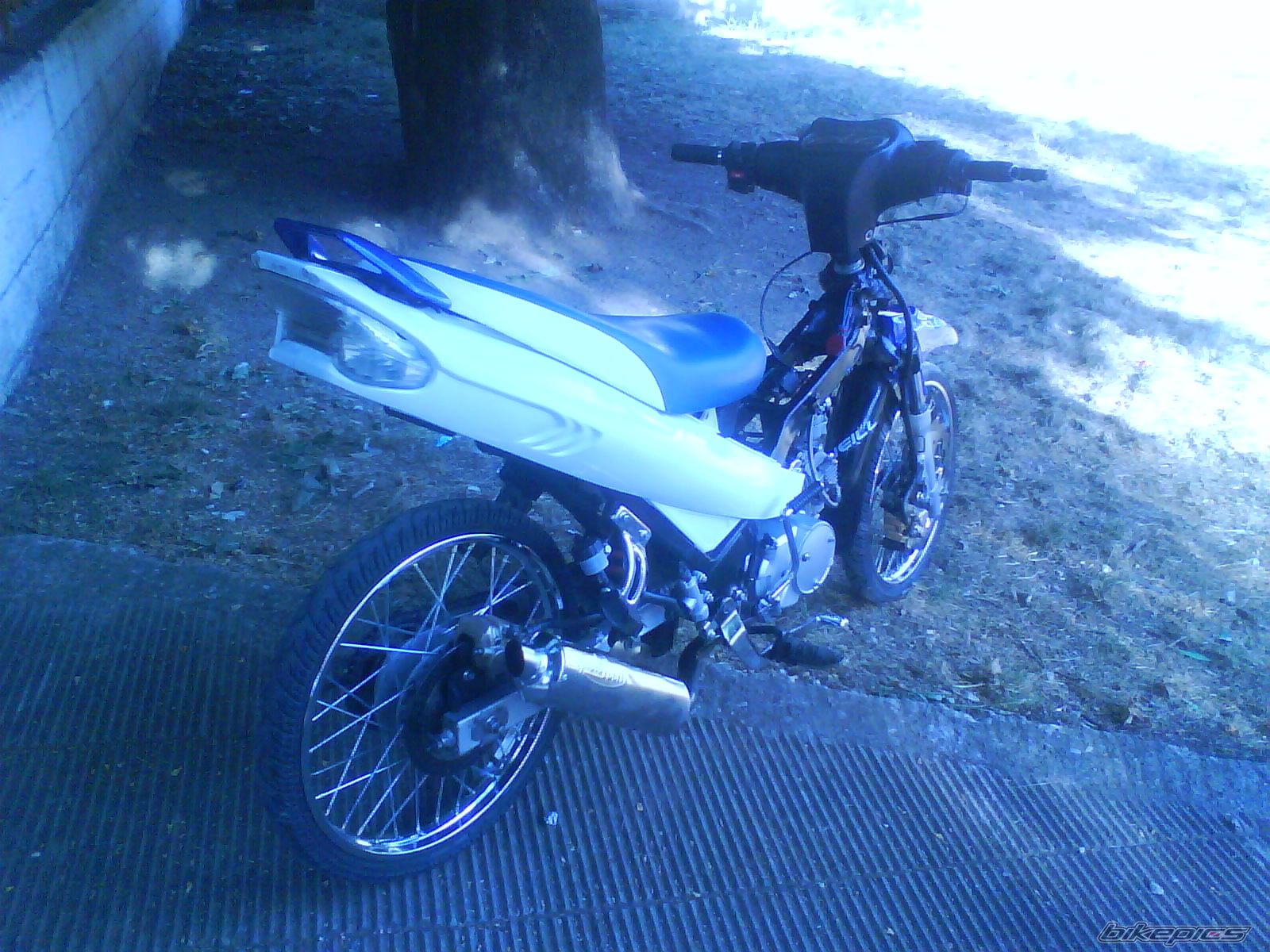 2010 YAMAHA Z 125 | Picture 1705170 motorcycle photo