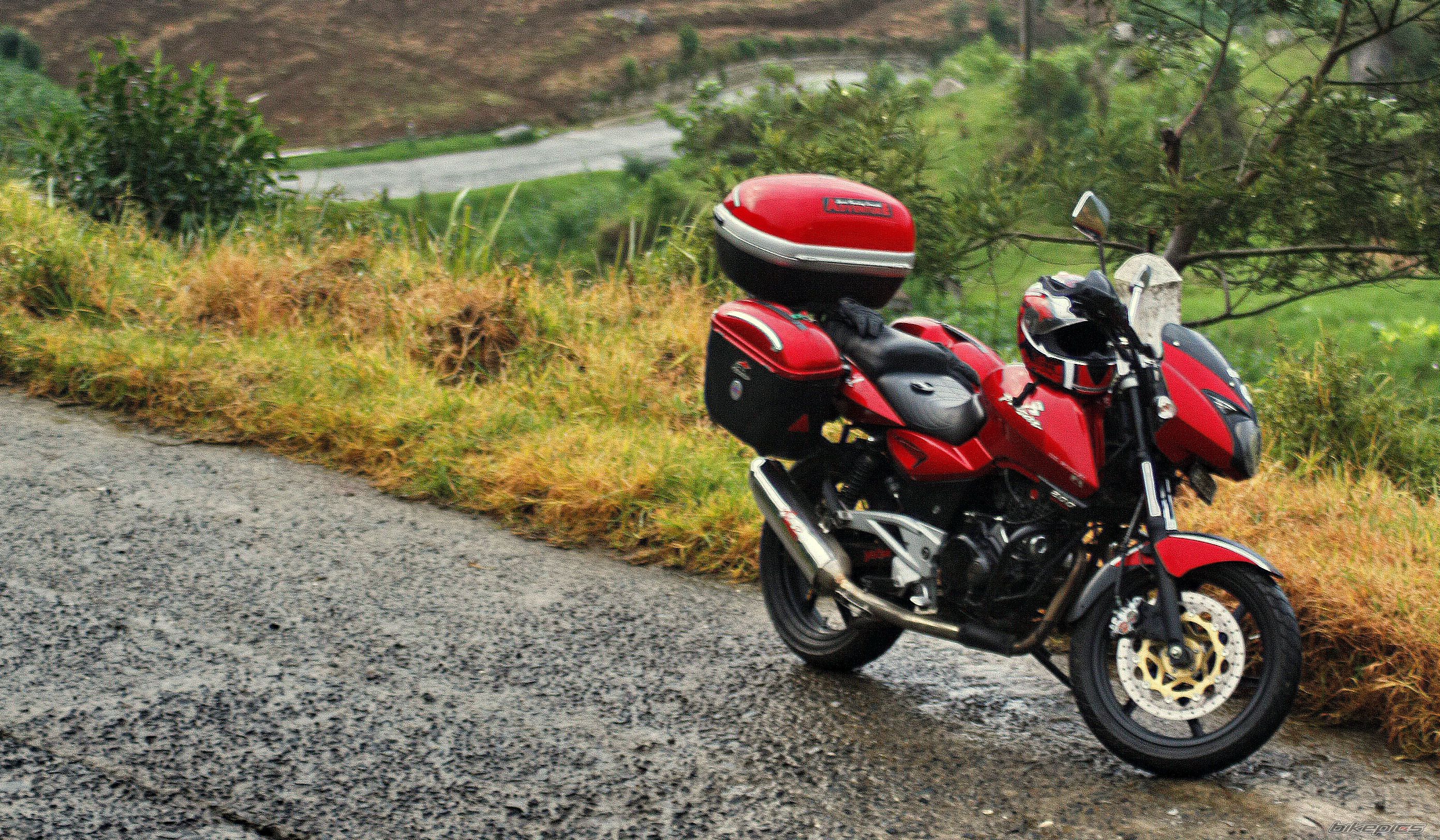 2008 BAJAJ PULSAR 200 | Picture 1705590 motorcycle photo