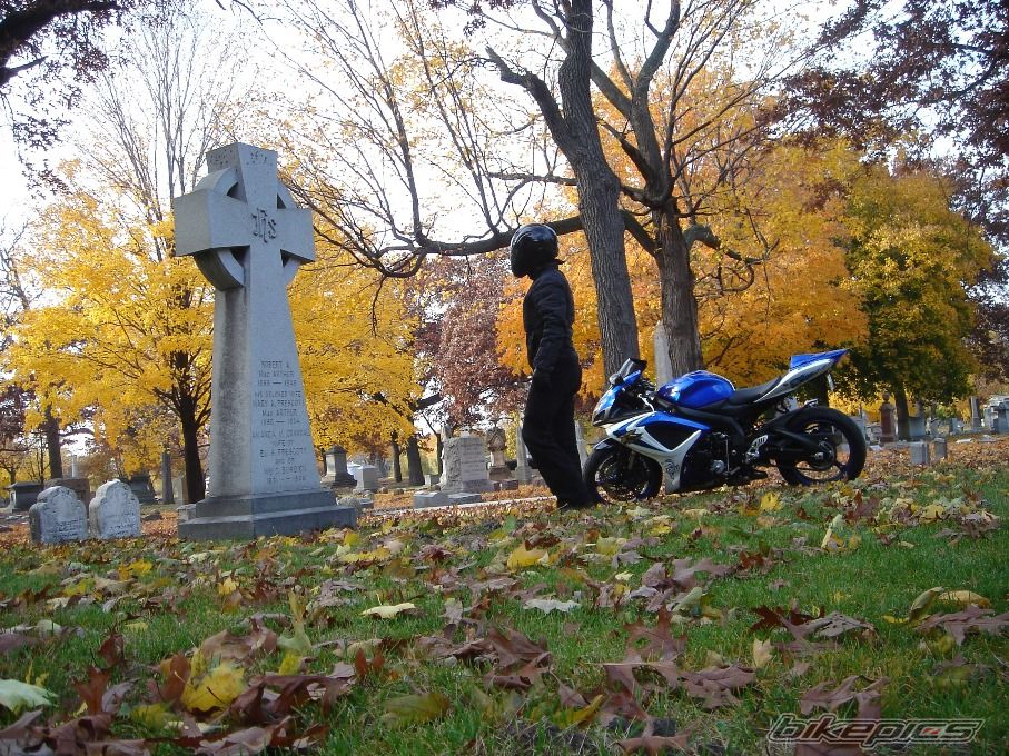 2006 SUZUKI GSX R 600 | Picture 1706133 motorcycle photo