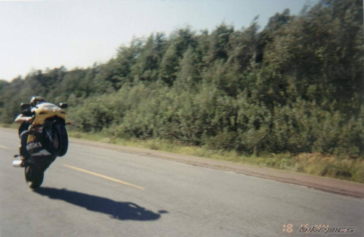 2001 SUZUKI GSX 600 | Picture 17063 motorcycle photo