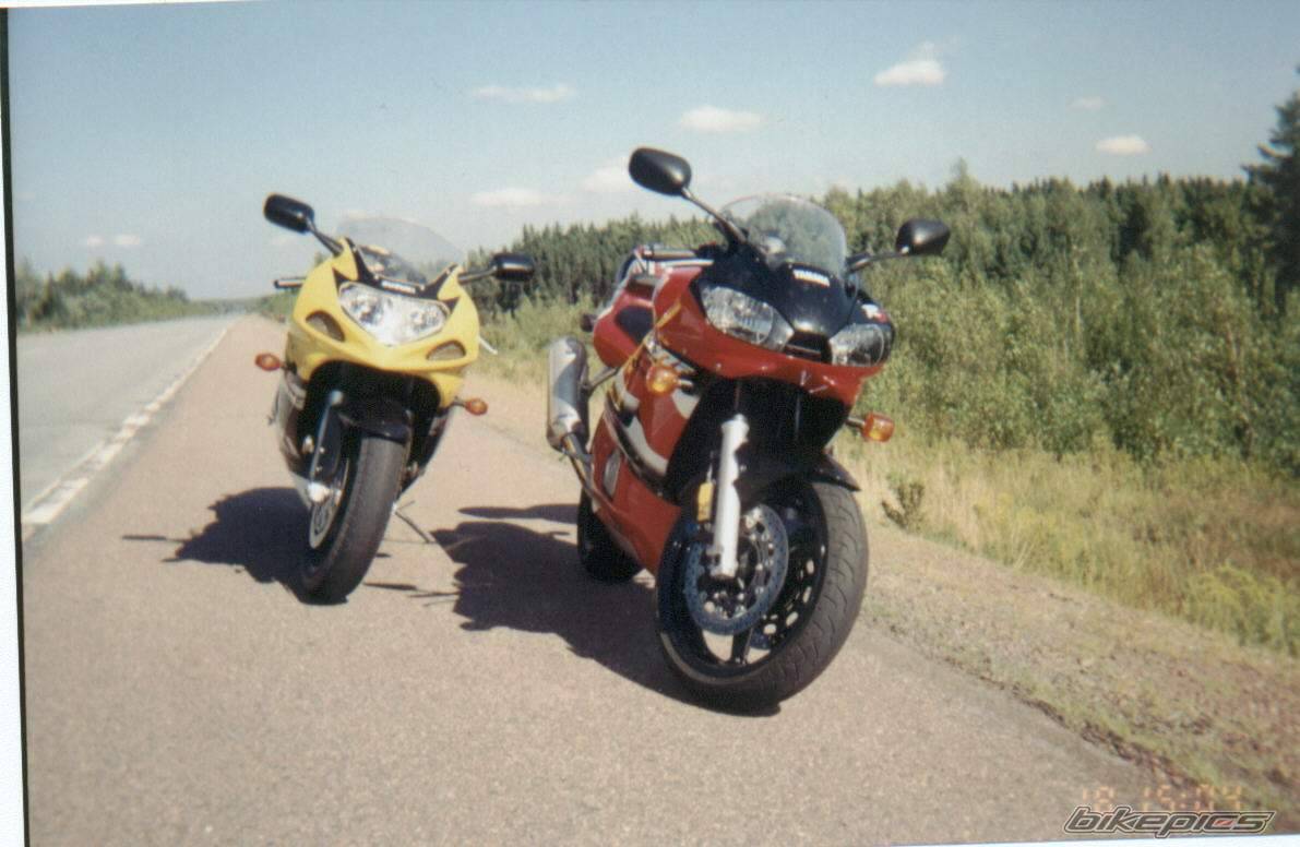 2001 SUZUKI GSX 600 | Picture 17066 motorcycle photo