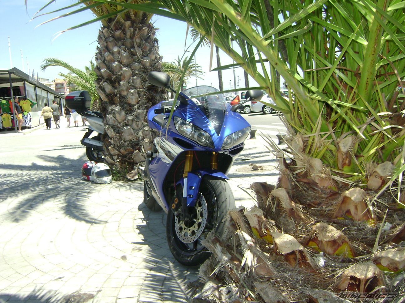 2006 YAMAHA YZF R1 | Picture 1706695 motorcycle photo