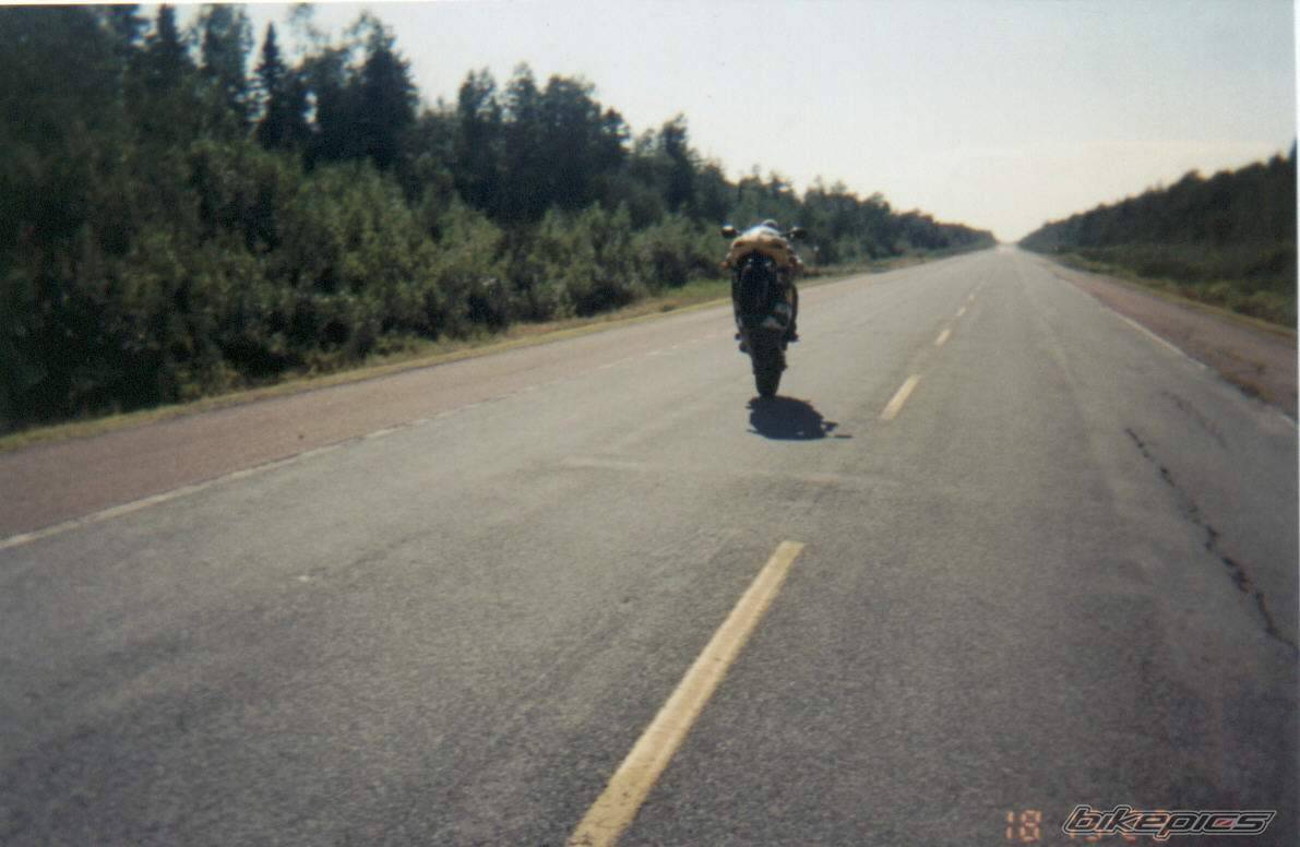 2001 SUZUKI GSX 600 | Picture 17067 motorcycle photo