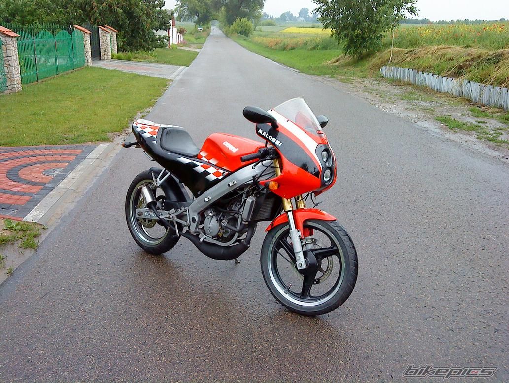 2004 DERBI GPR 50 REPLICA | Picture 1706894 motorcycle photo