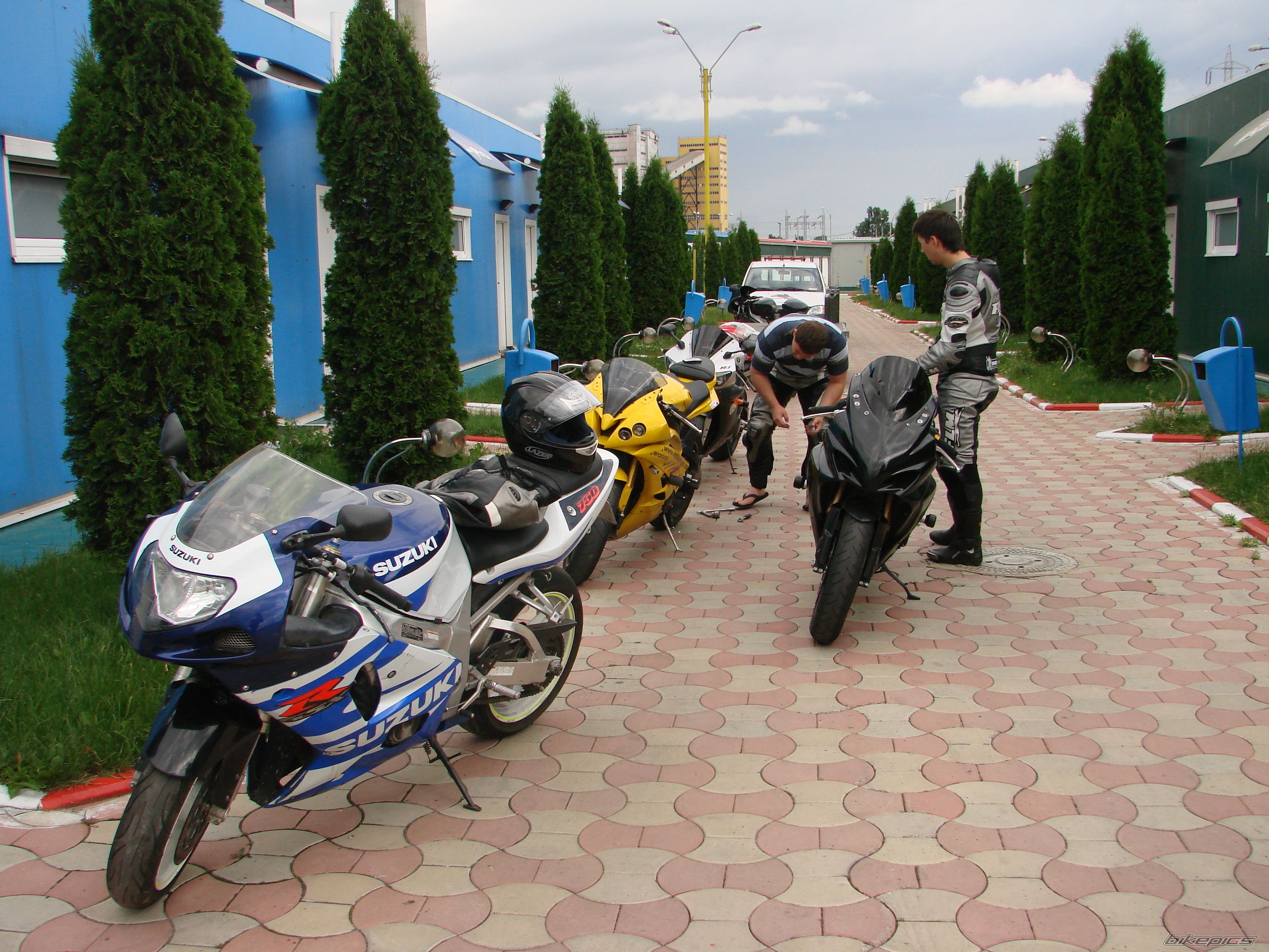 2008 SUZUKI GSX R 1000 | Picture 1707141 motorcycle photo