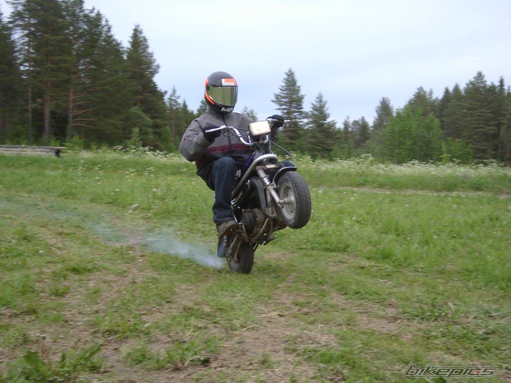 1995 SUZUKI PV 60 | Picture 170796 motorcycle photo