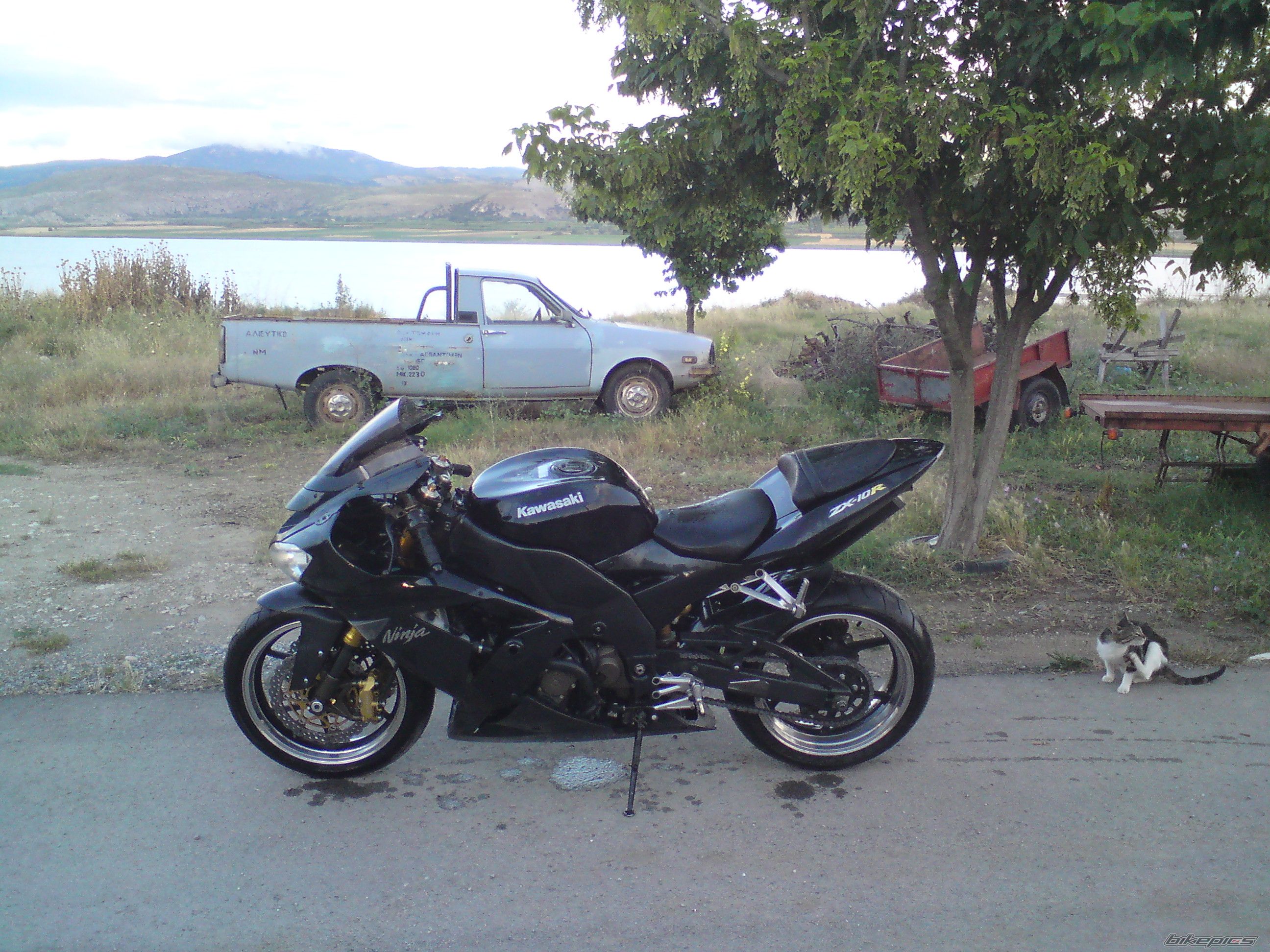 2005 KAWASAKI ZX 10R | Picture 1709277 motorcycle photo