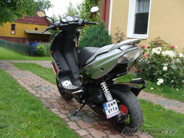 2003 PEUGEOT SPEEDFIGHT2 50 | Picture 1709320 motorcycle photo