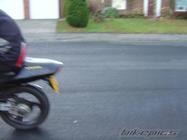 1997 APRILIA RS 50 | Picture 170940 motorcycle photo
