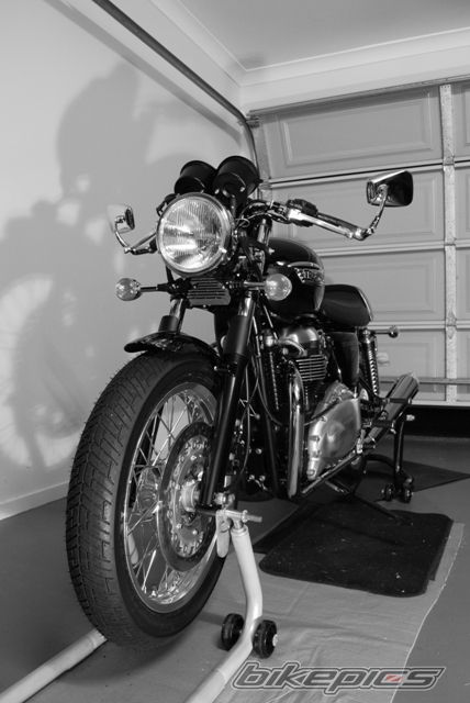 2009 TRIUMPH THRUXTON 900 | Picture 1709429 motorcycle photo