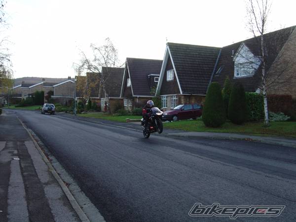 1997 APRILIA RS 50 | Picture 170943 motorcycle photo