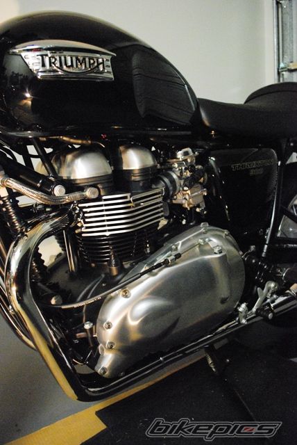 2009 TRIUMPH THRUXTON 900 | Picture 1709440 motorcycle photo