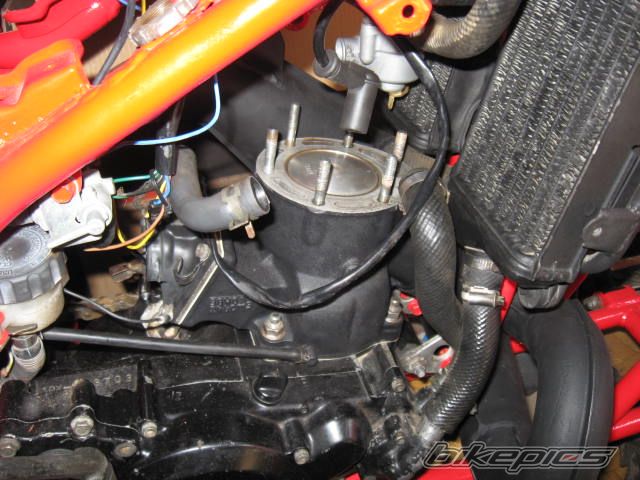 1985 YAMAHA YTZ 250 | Picture 1709536 motorcycle photo