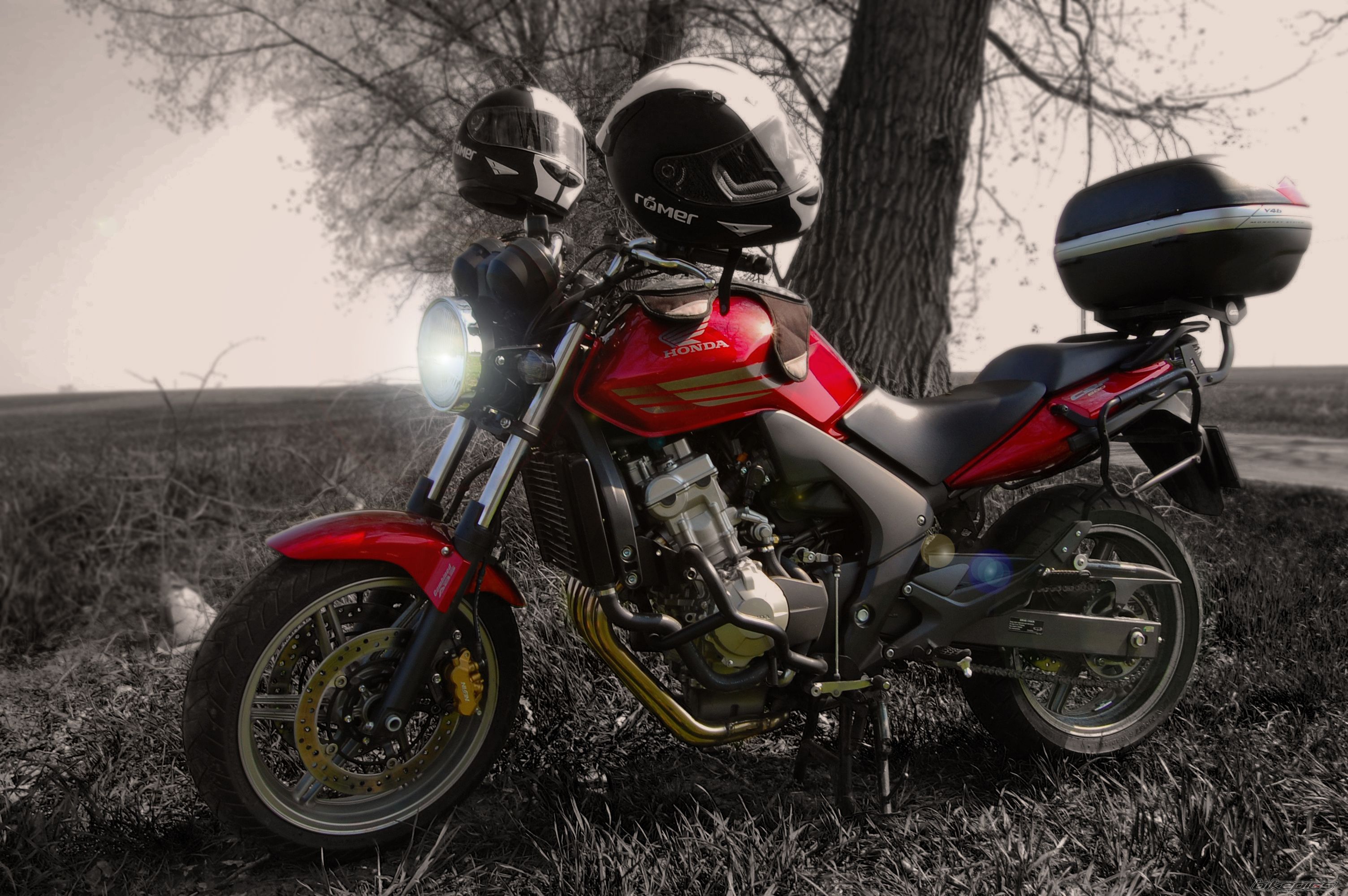 2008 HONDA CBF 600 | Picture 1709893 motorcycle photo
