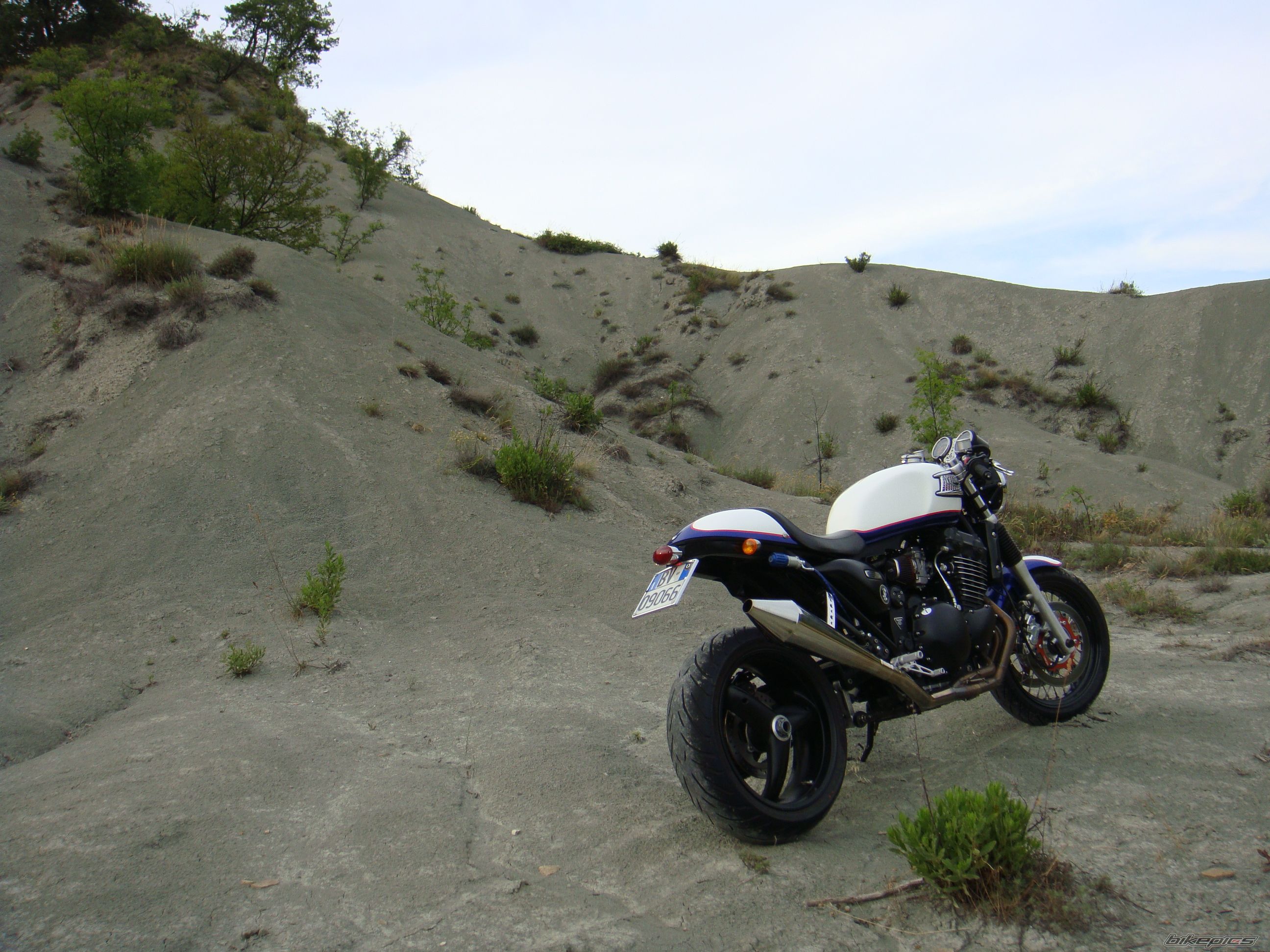 2004 TRIUMPH THUNDERBIRD SPORT | Picture 1710005 motorcycle photo