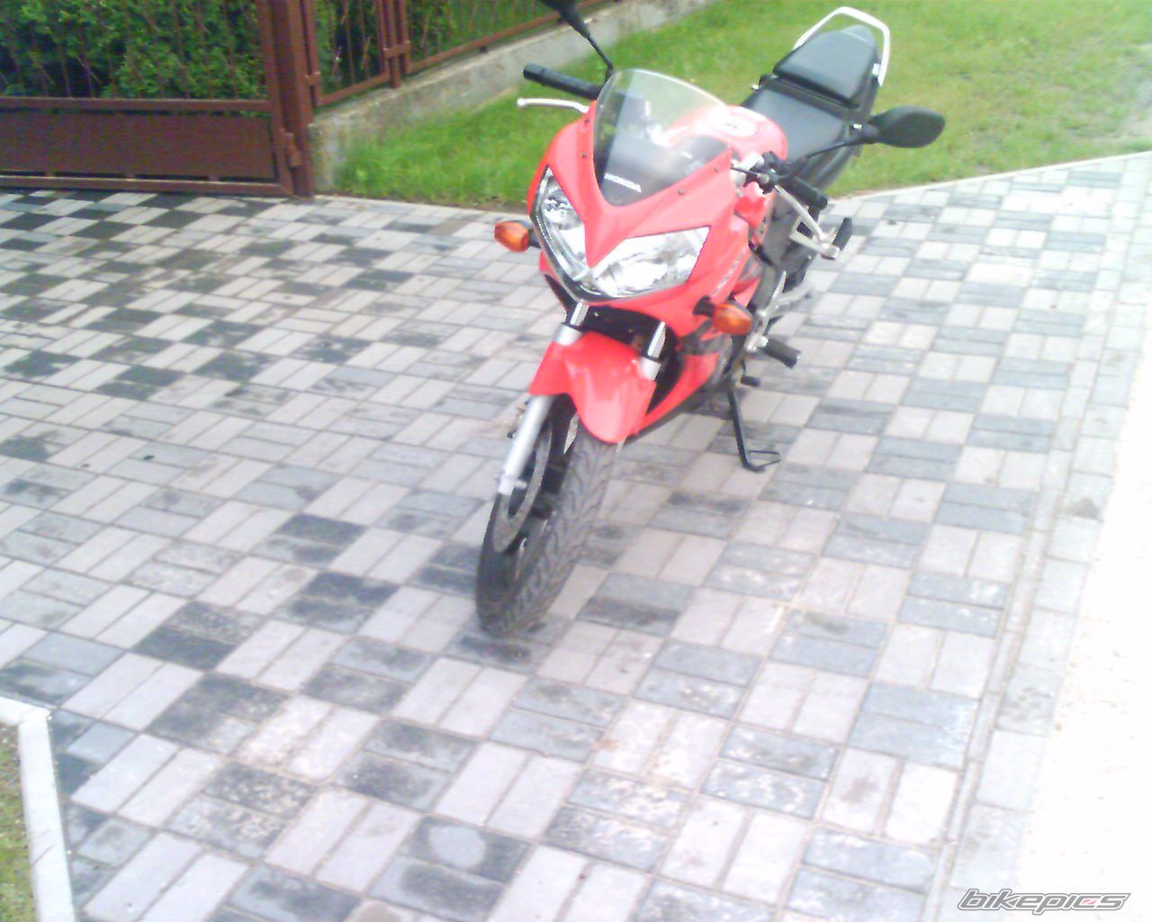 2004 HONDA CBR 125 | Picture 1710292 motorcycle photo