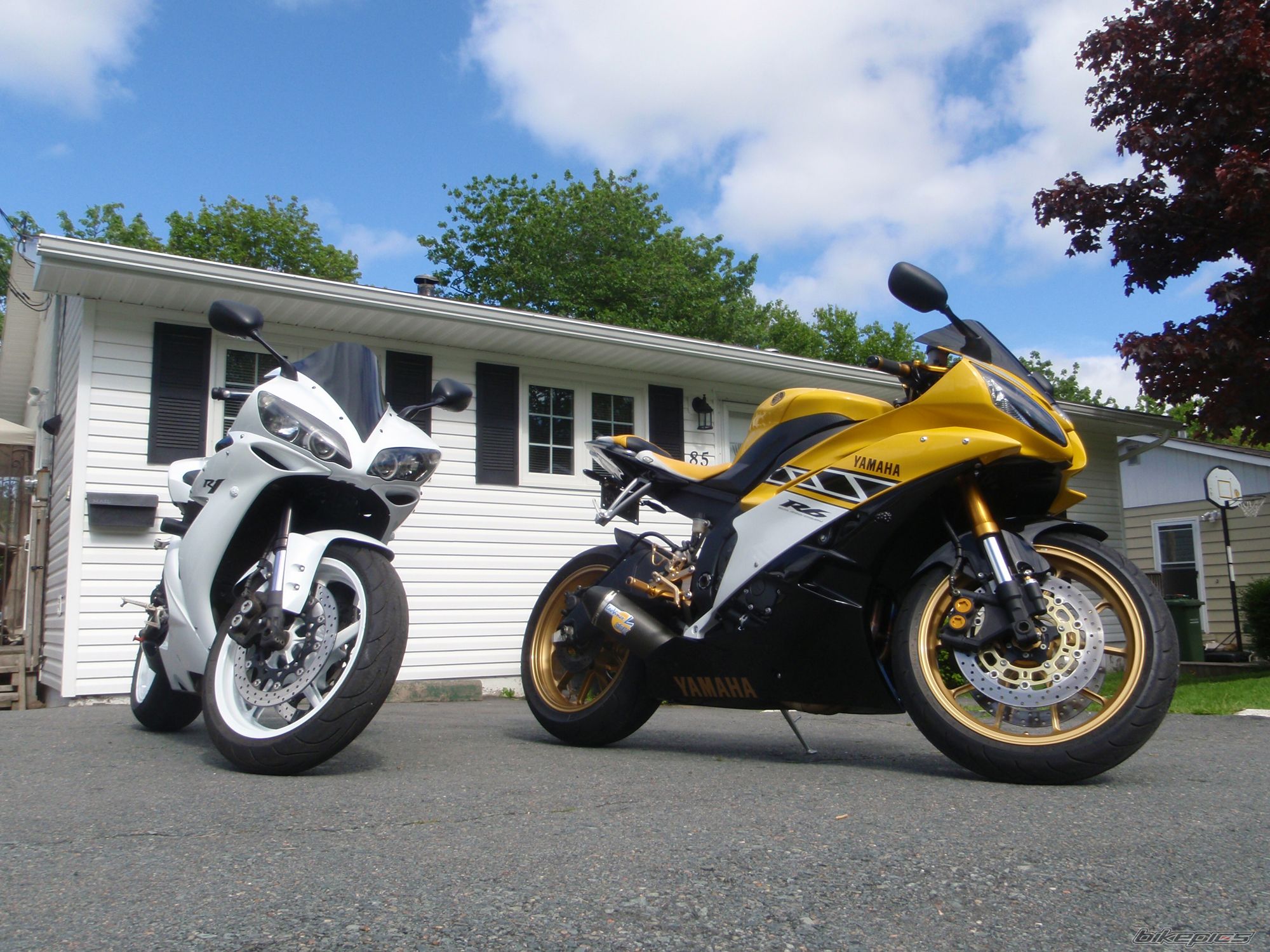 2005 YAMAHA YZF R1 | Picture 1710364 motorcycle photo