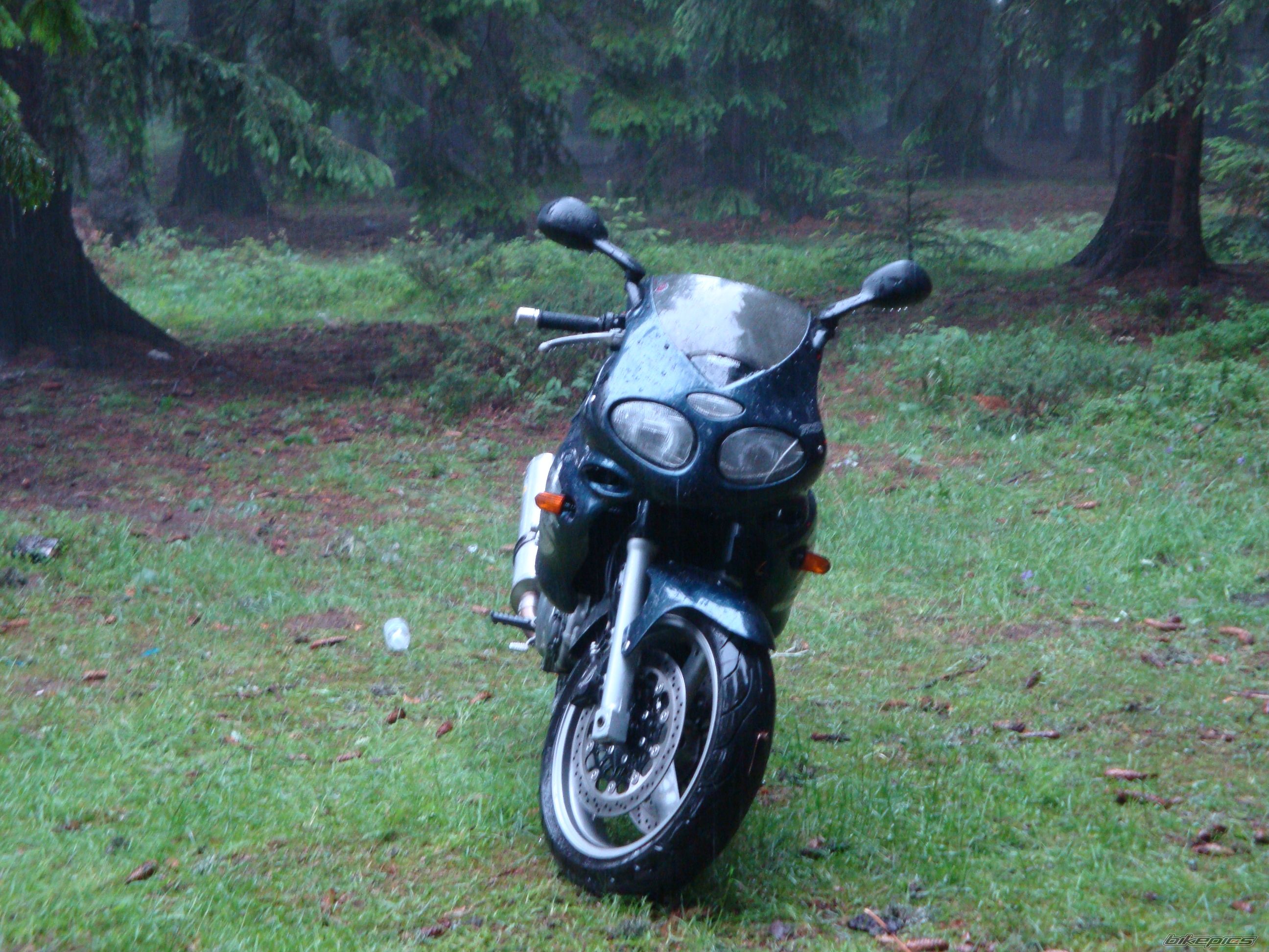 2001 TRIUMPH SPRINT RS | Picture 1710964 motorcycle photo
