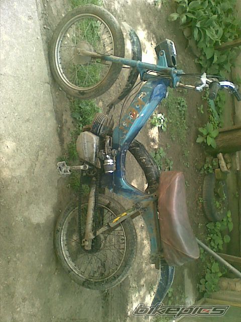 1978 TOMOS AUTOMATIK | Picture 1711536 motorcycle photo