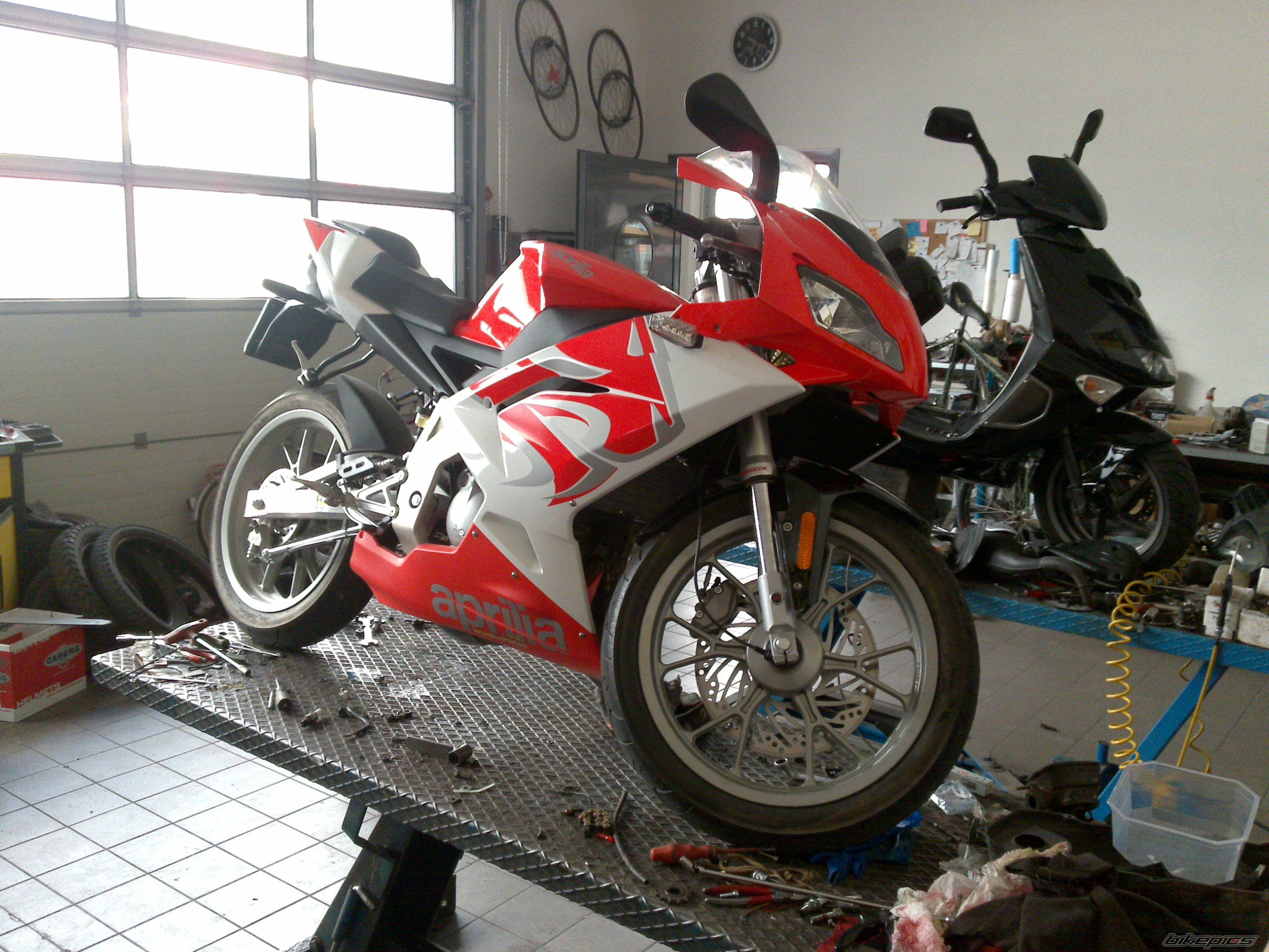 2010 APRILIA RS 50 | Picture 1711983 motorcycle photo