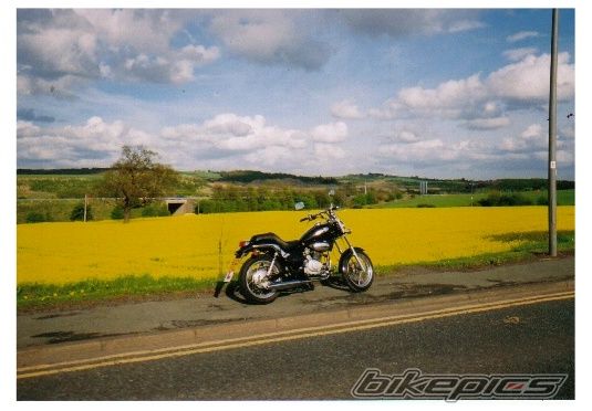 2001 GILERA COGUAR | Picture 1712096 motorcycle photo