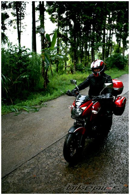 2008 BAJAJ PULSAR 200 | Picture 1712209 motorcycle photo