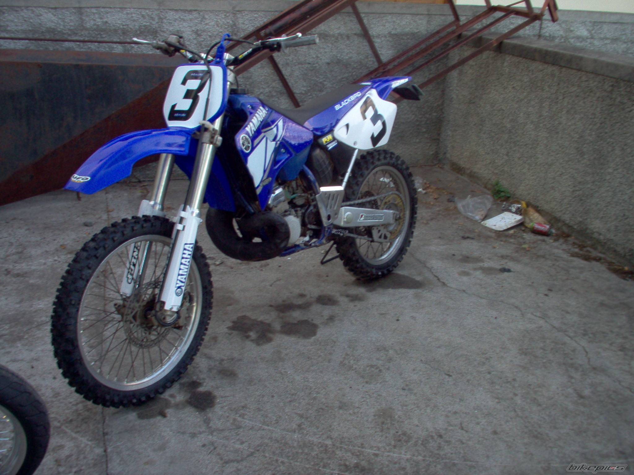 1998 YAMAHA YZ 250 | Picture 171372 motorcycle photo
