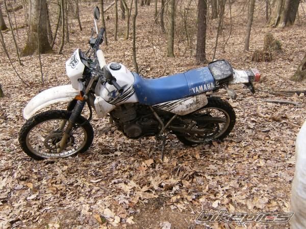 1999 YAMAHA XT 350 | Picture 1714074 motorcycle photo