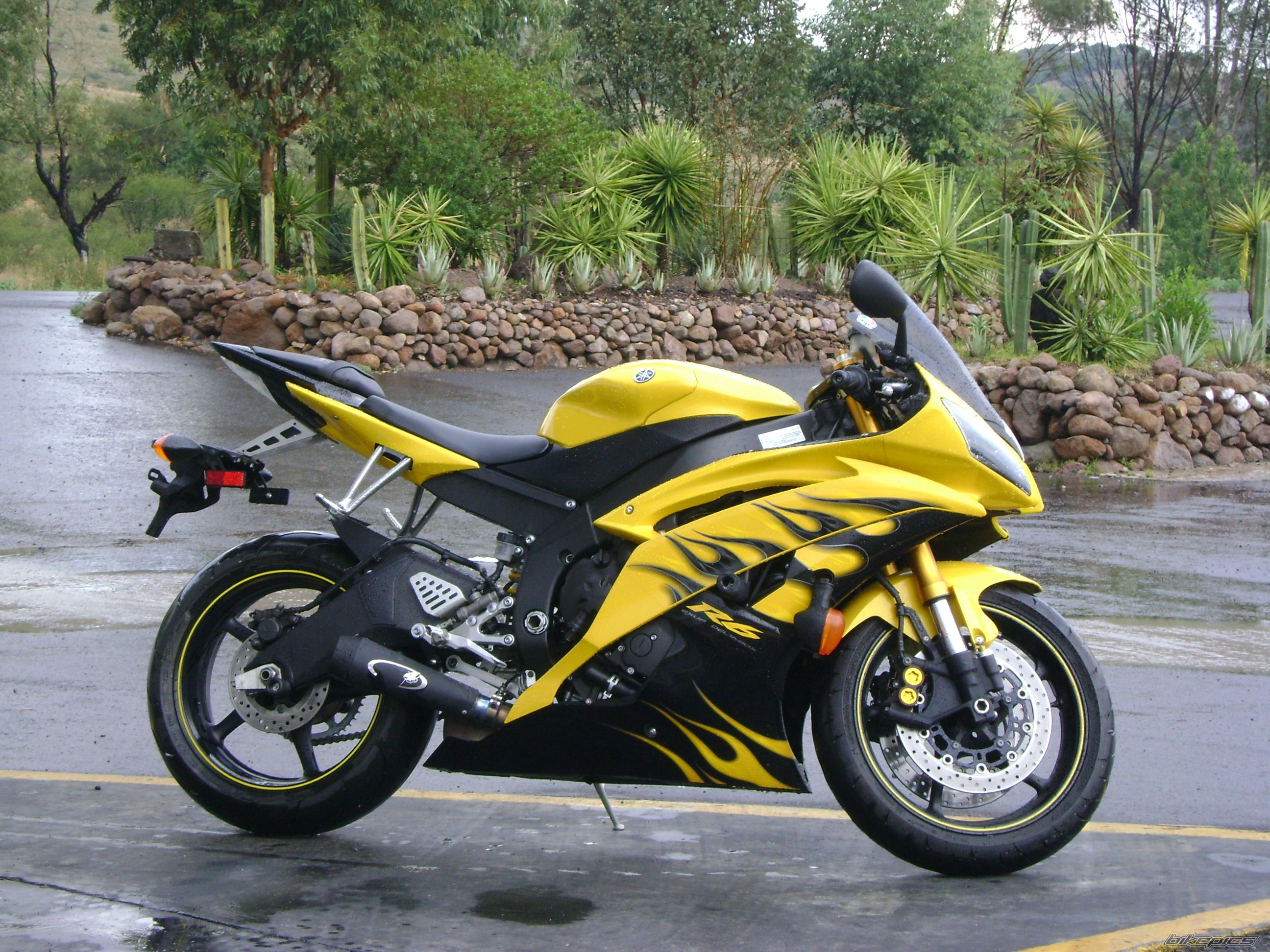 2008 YAMAHA YZF R6 | Picture 1714189 motorcycle photo