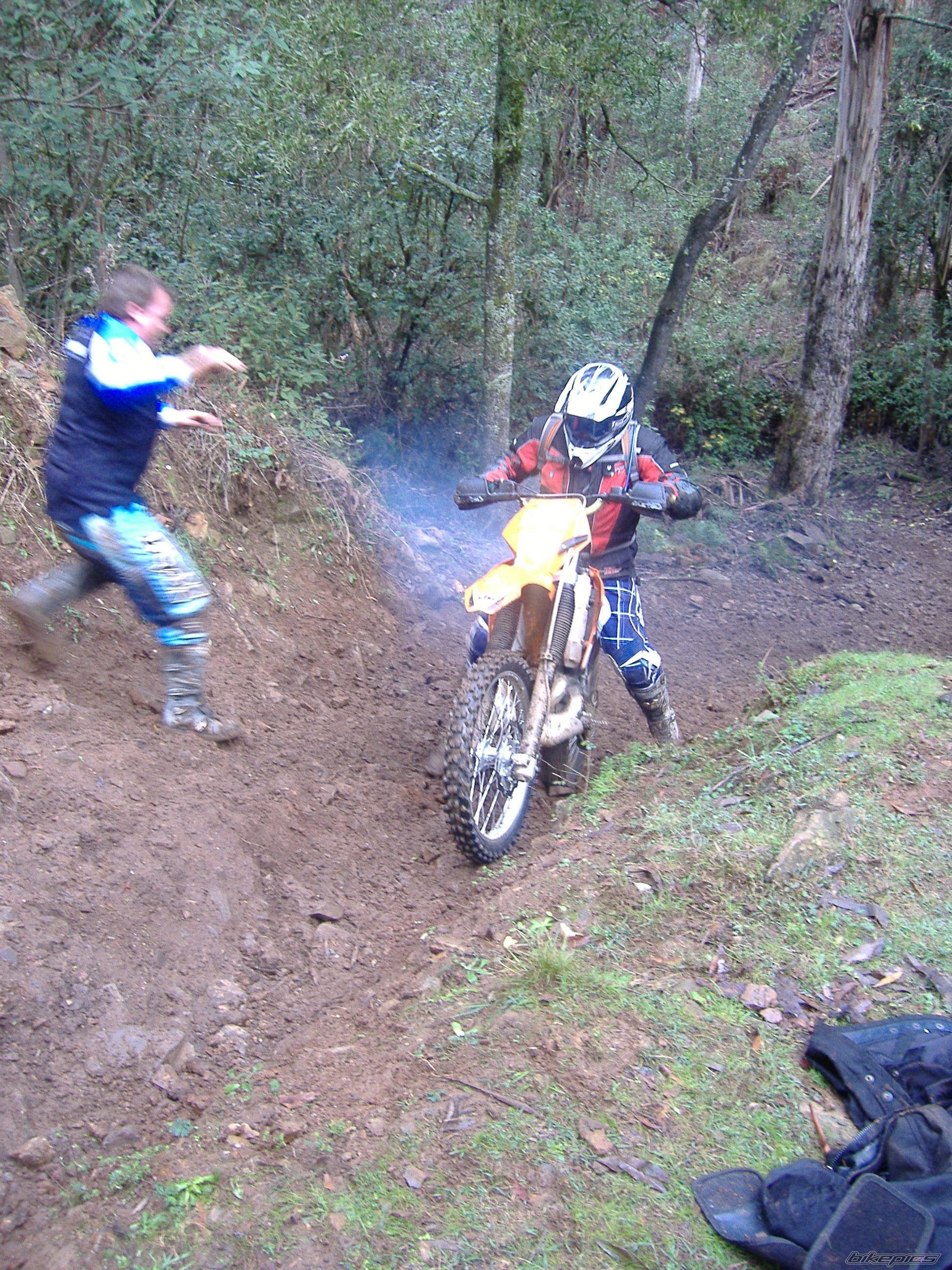 2005 SUZUKI RM 250 Z | Picture 1714279 motorcycle photo