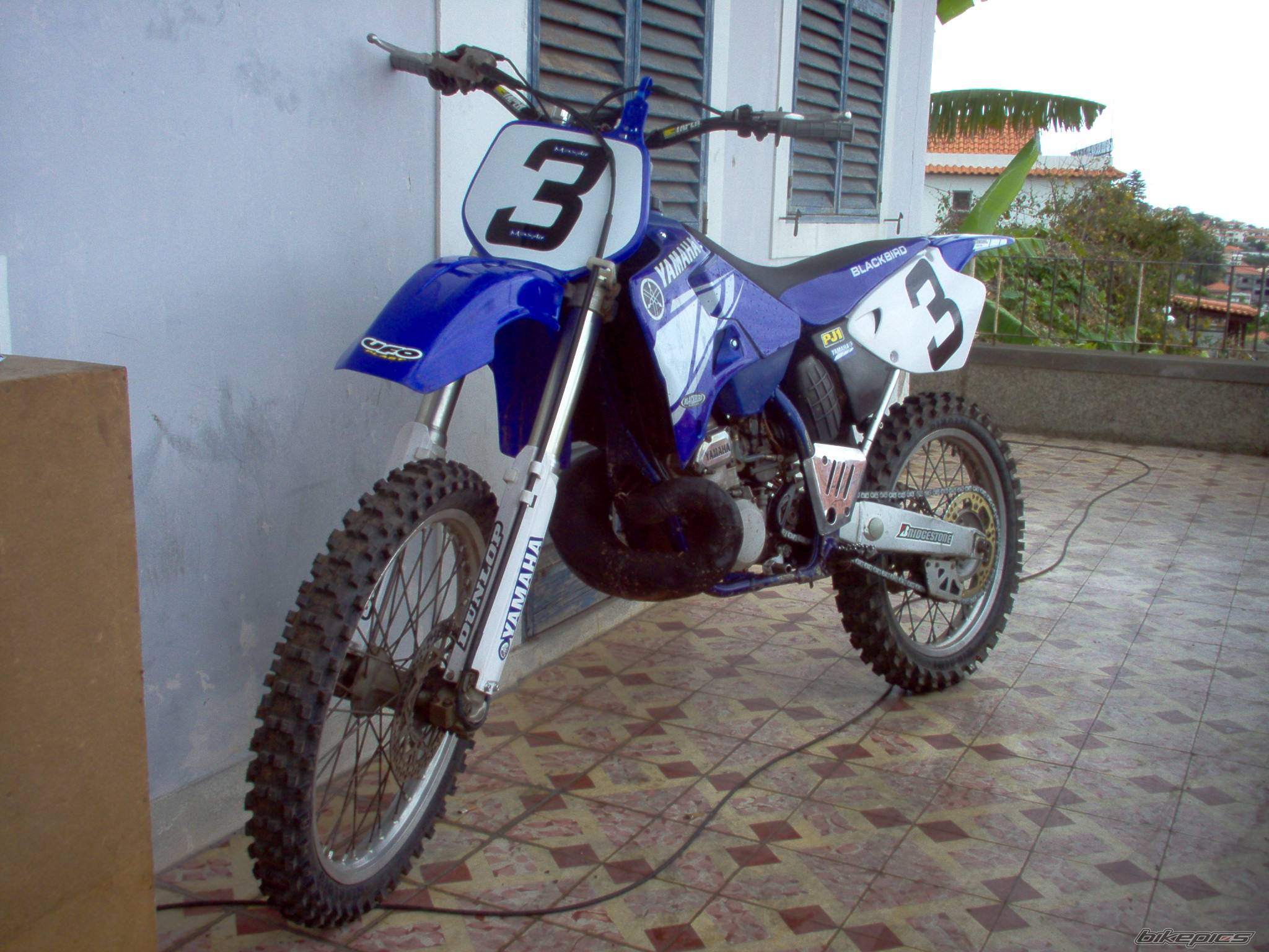 1998 YAMAHA YZ 250 | Picture 171513 motorcycle photo
