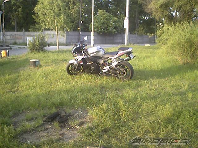 2004 YAMAHA YZF R6 | Picture 171533 motorcycle photo