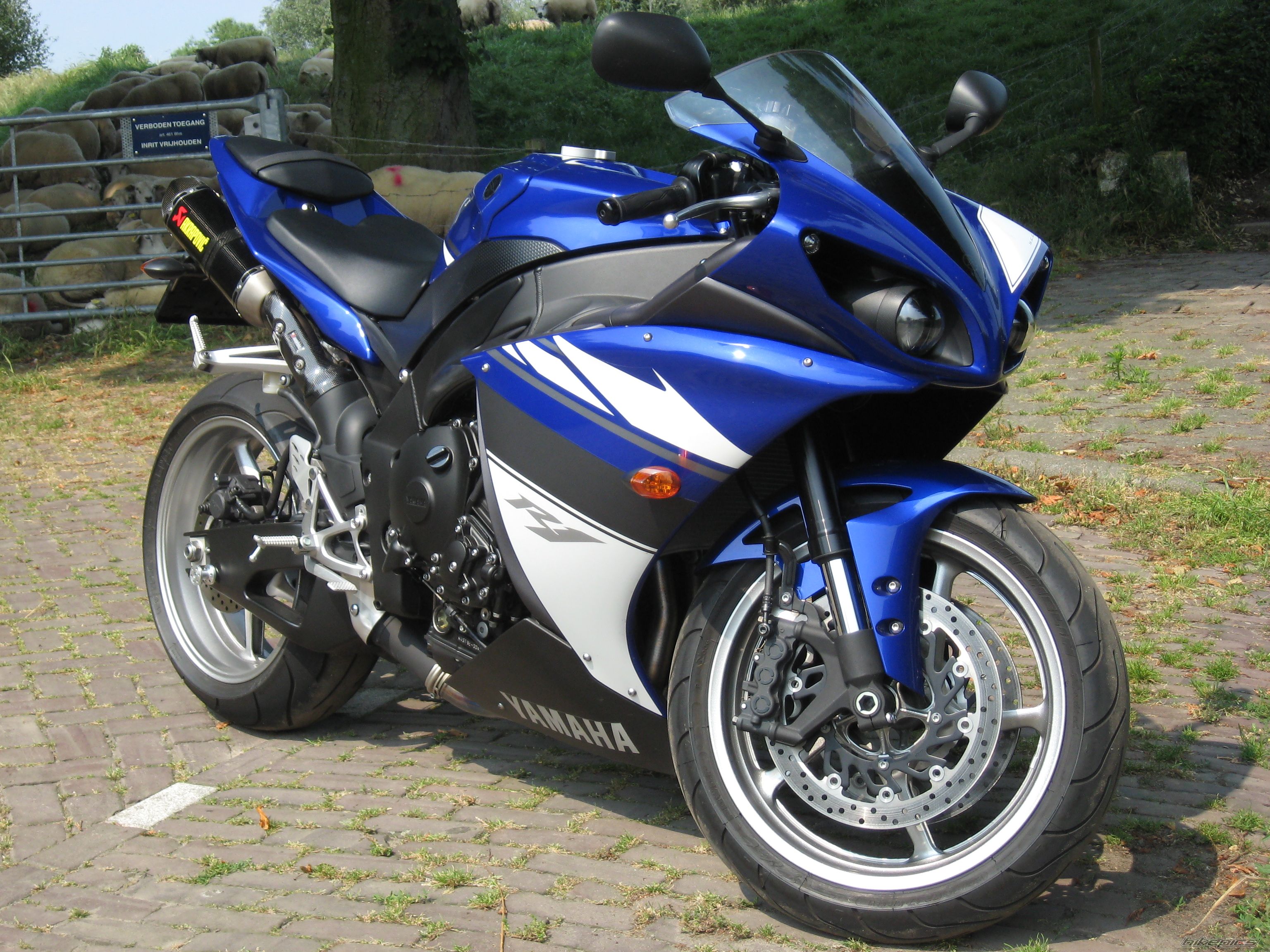 2009 YAMAHA YZF R1 | Picture 1715440 motorcycle photo
