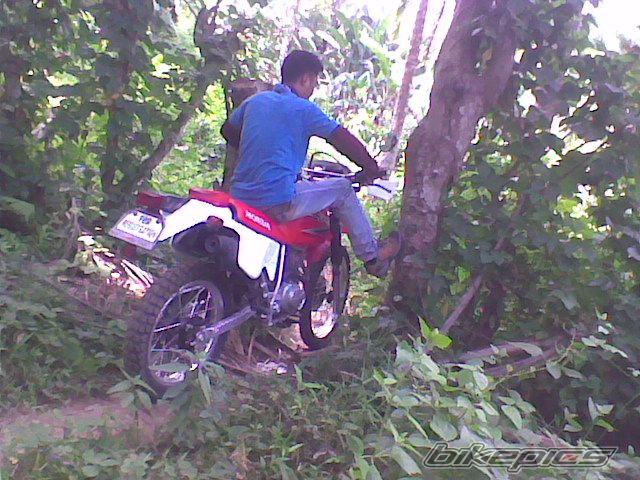 2008 YAMAHA DT 125 | Picture 1715503 motorcycle photo