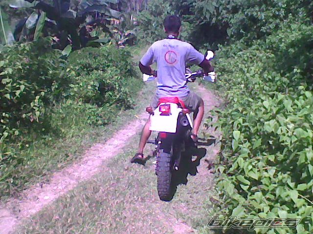 2008 YAMAHA DT 125 | Picture 1715505 motorcycle photo