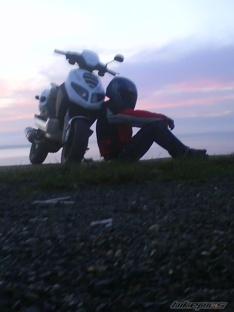 2009 YAMAHA AEROX 50 | Picture 1715569 motorcycle photo