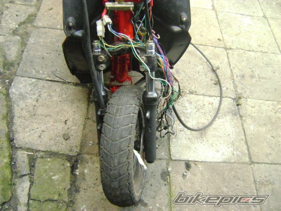 2004 DAELIM TAPO 50 | Picture 1715664 motorcycle photo