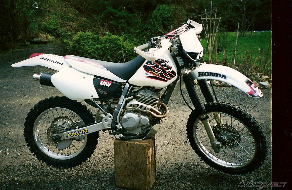 1996 HONDA XR 250 | Picture 1715693 motorcycle photo