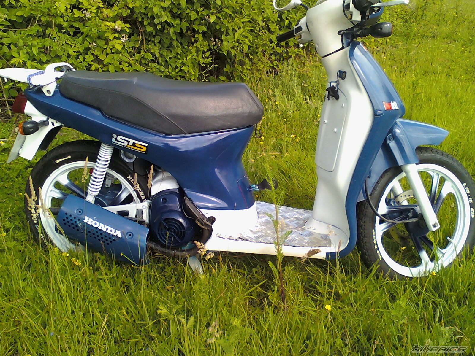 2009 HONDA SH 50 SCOOPY | Picture 1715840 motorcycle photo