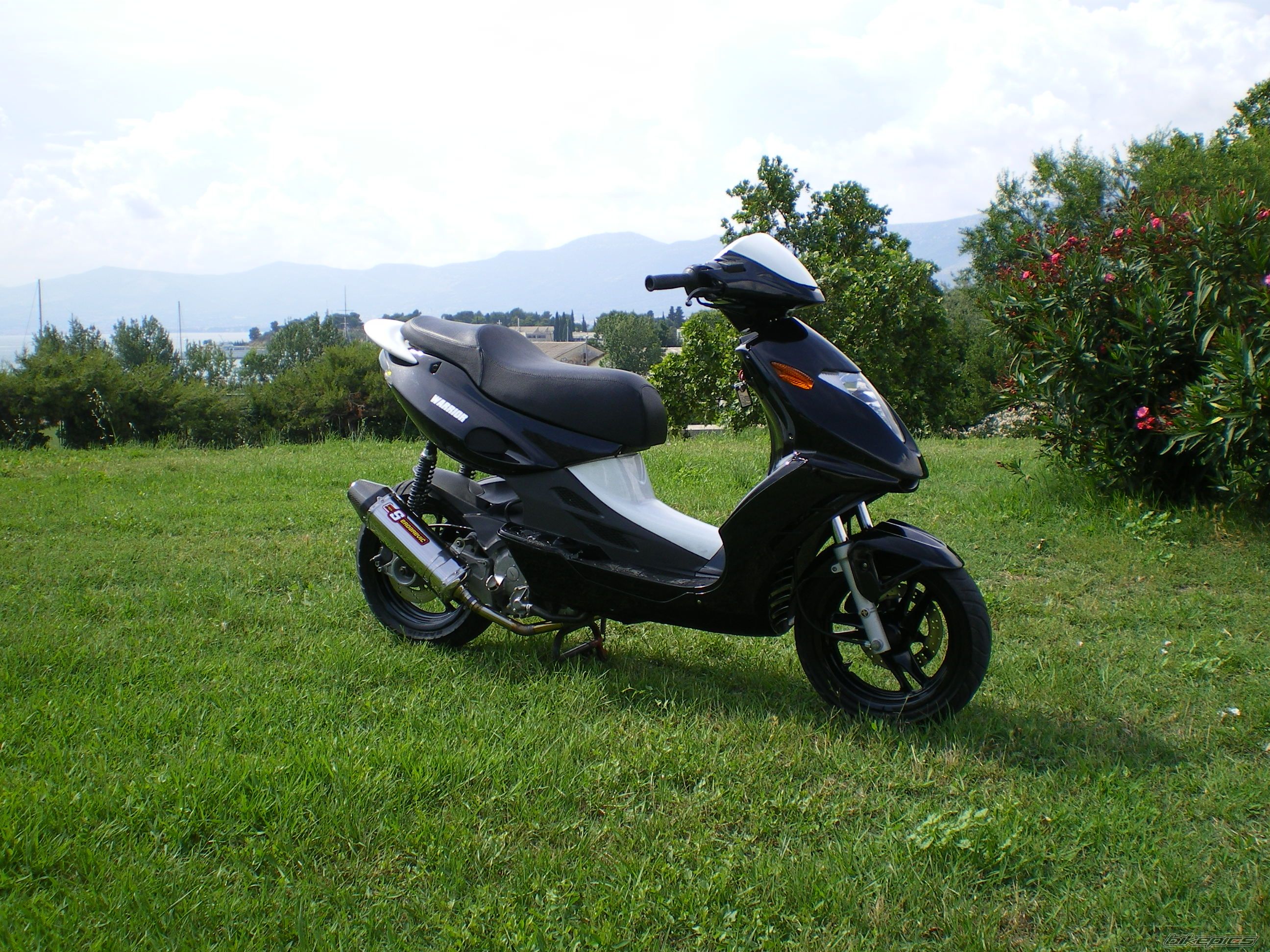 2003 MALAGUTI WARRIOR 125 F 18 | Picture 1715908 motorcycle photo